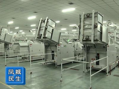 傳統織造綻新顏 孚日集團以新舊動能轉換驅動高質量發展